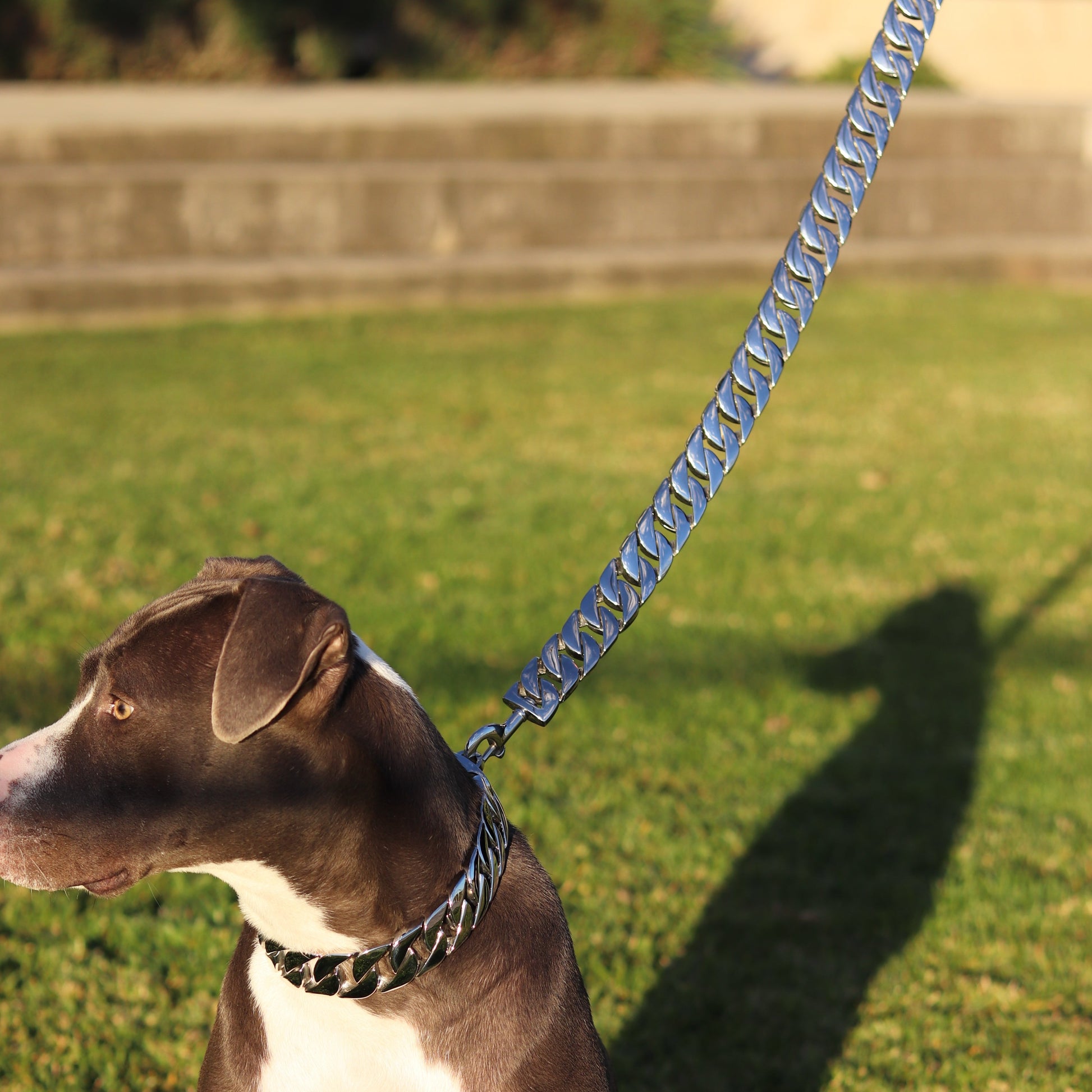 32mm Silver Cuban Link Leash - Canine Cubans