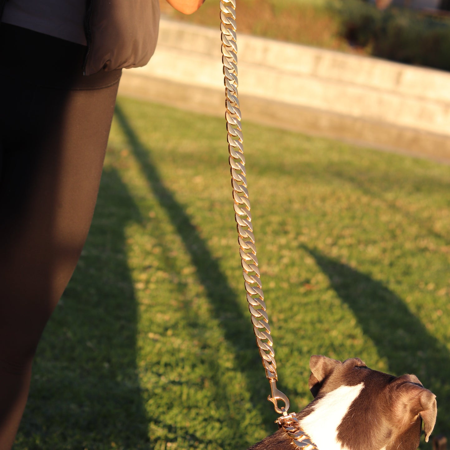25mm Gold Cuban Link Leash - Canine Cubans