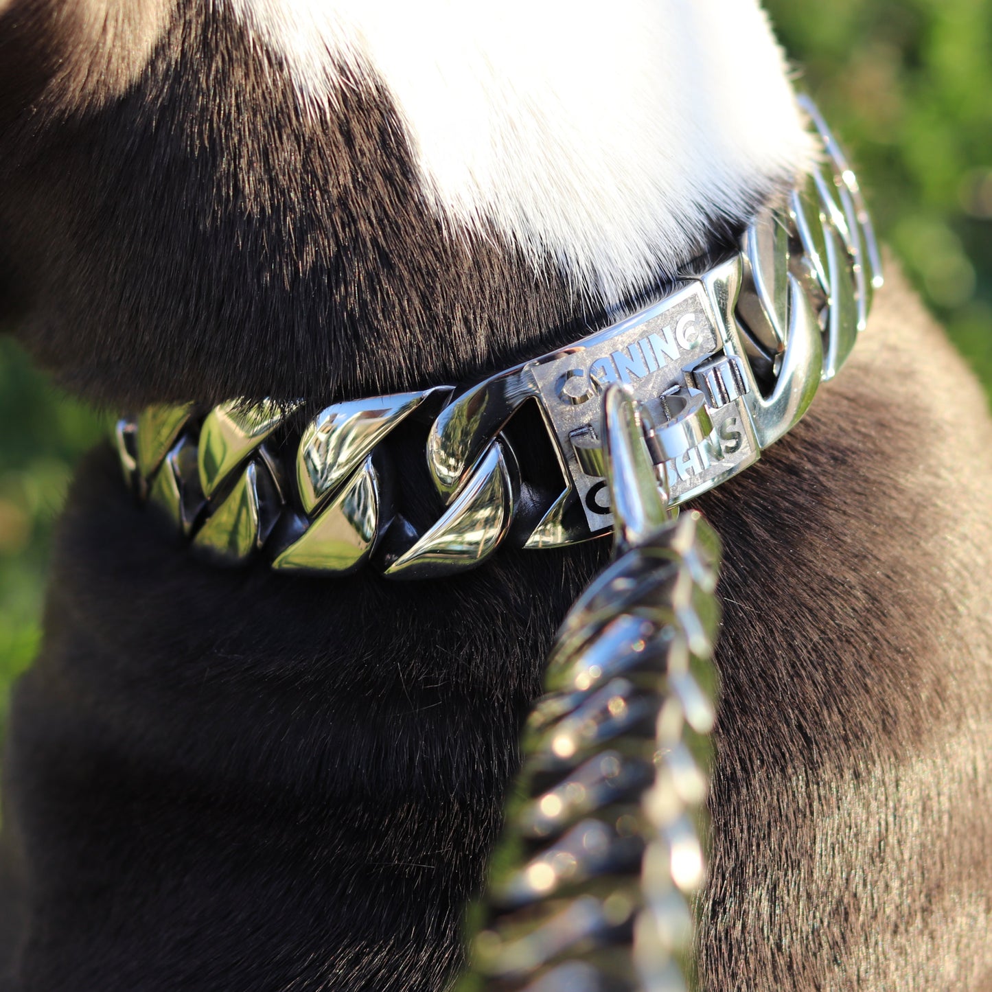 32mm Silver Big & Chunky Chain - Canine Cubans