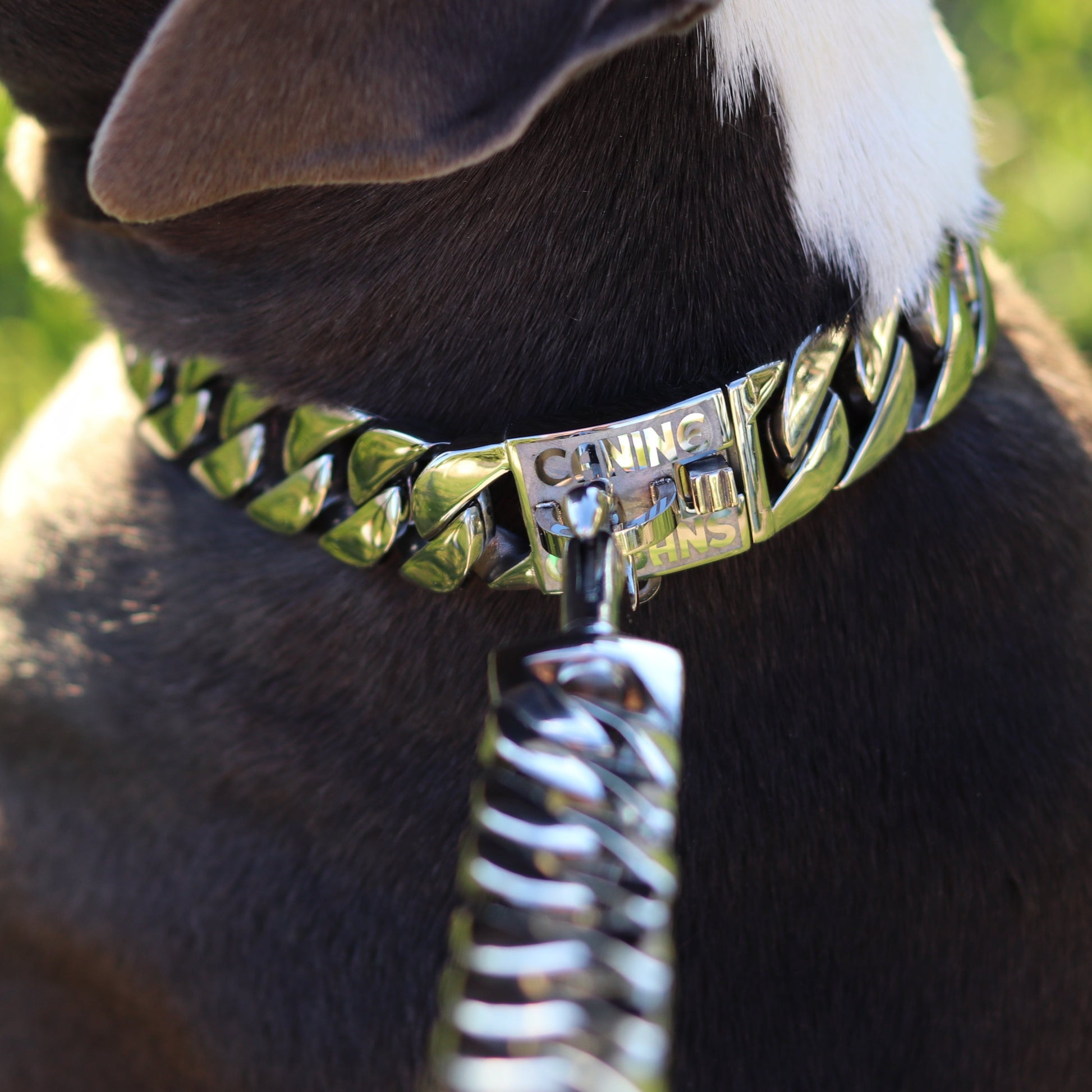 25mm Silver Mid & Mighty Chain - Canine Cubans