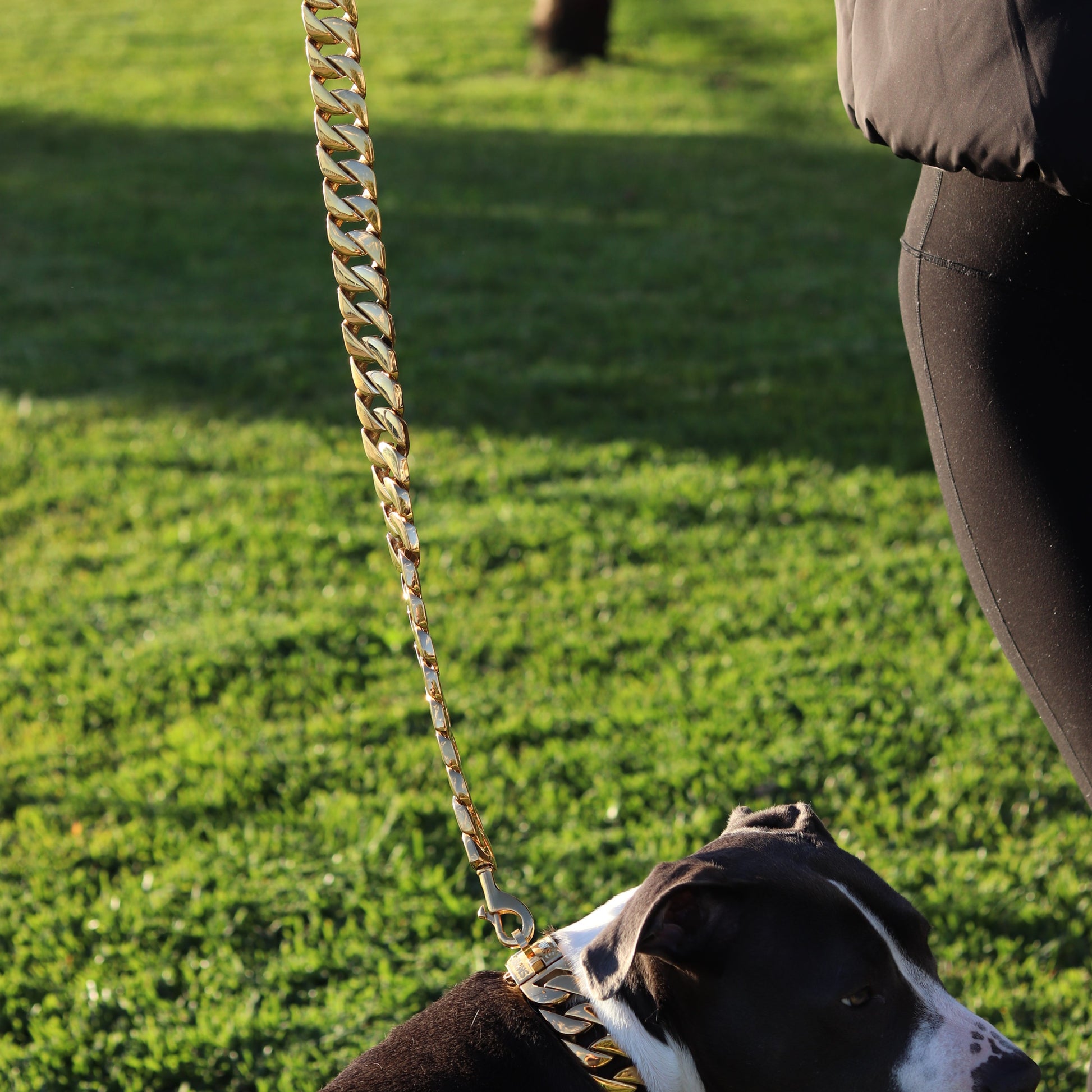 32mm Gold Cuban Link Leash - Canine Cubans