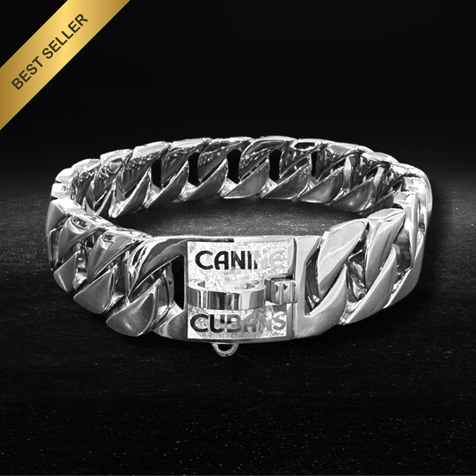 32mm Silver Collar - Big & Chunky - Canine Cubans