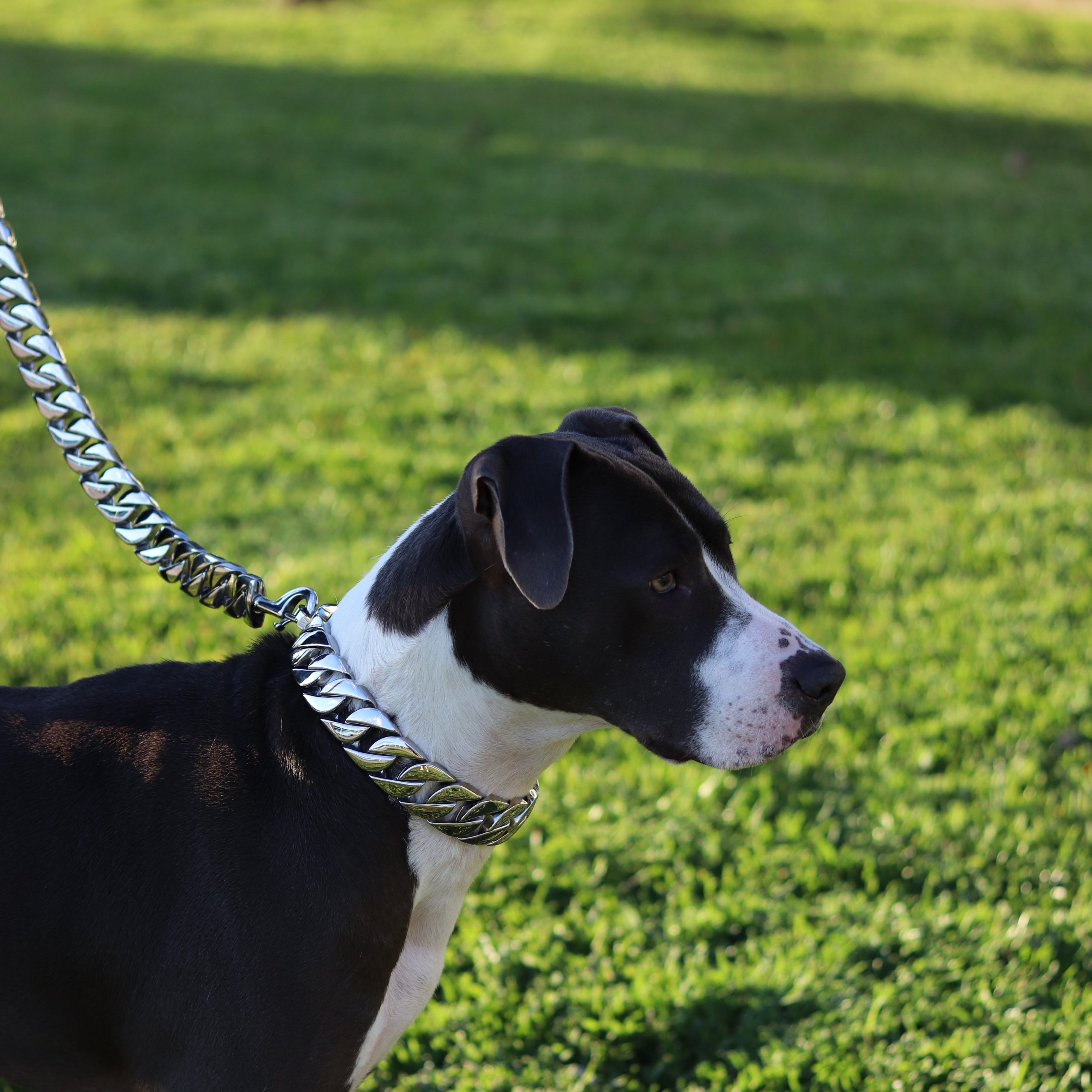 32mm Silver Cuban Link Leash